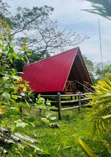 Finca Ecoturistica Piedra Alta - 8