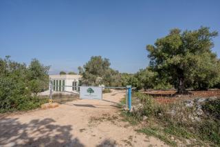 Dimora tra gli ulivi - Ostuni - 1