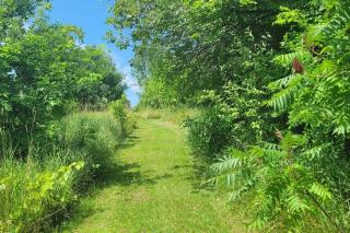 Summer Getaway with Pool and Nearby Attractions - Cobourg - 1