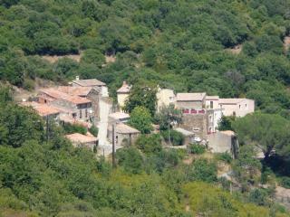Marronnier - - 8