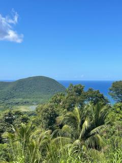"Rhodiola" Superbe T2 vue panoramique mer Grande Anse - Deshaies - 4