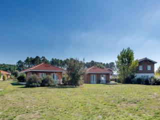 Neat holiday home in sunny Les Landes - Parentis-en-Born - 8