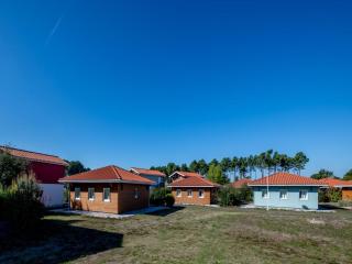 Neat holiday home in sunny Les Landes - Parentis-en-Born - 0