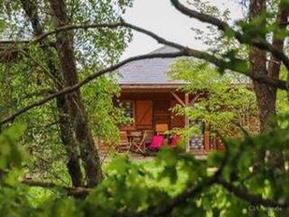 Rural chalet with lake view in Limousin - Meyrignac-lʼÉglise - 8