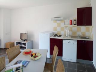 Comfortable holiday home near Mont Ventoux - Aubignan - 4