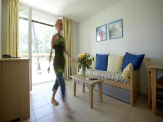 Nice Holiday home with bath - Ondres - 7