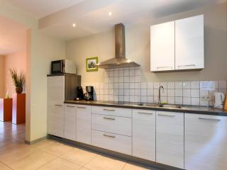 Spacious holiday home with garden - Nieuwpoort - 1