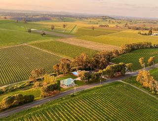 Norm's Vineyard Retreat - 0