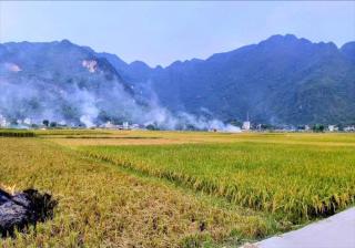 mai chau rice fields homestay - Mai Châu - 8