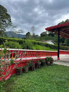 Hostal Artesanos - Jardín - 8