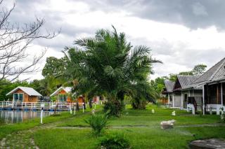 The forest hill cafe&homestays Chiangmai - Ban Muang Len - 6