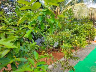 Guava Casa Farm House - Alleppey - 7