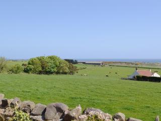 Eider Cottage - 2