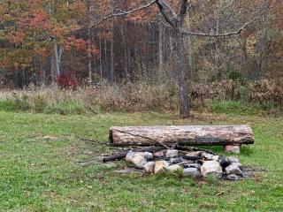 Cabin on 17 acres by National Forest - 5