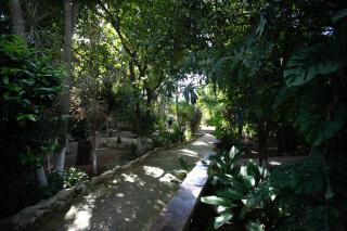 Finca Oz - Homún - 8