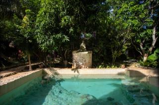 Finca Oz - Homún - 6