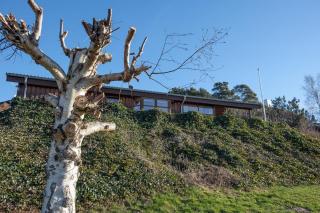 Stunning Home In Ebeltoft With 2 Bedrooms - Ebeltoft - 4