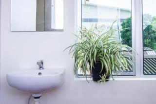 Plumeria 4BR Garden House by uBook - Butterworth - 9