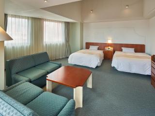 hotel VERDE - Arao - 7