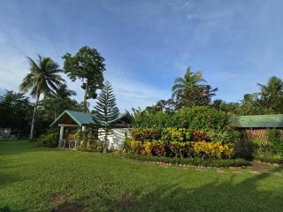 Lolo Eyong's Farm Retreat and Resort - - 7