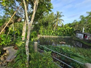 Lolo Eyong's Farm Retreat and Resort - - 3