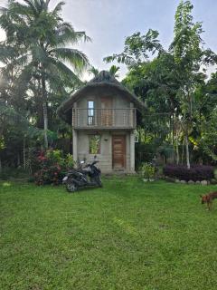 Lolo Eyong's Farm Retreat and Resort - - 2