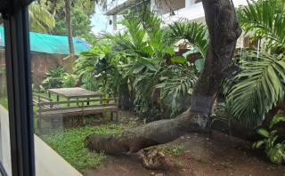 Beach front villa Ashwem Ocean - Mandrem - 7