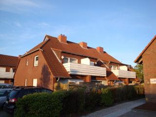 Seestern - Norddeich - 1