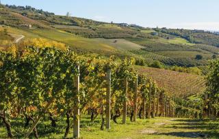 Awesome Home In San Marzano Oliveto - San Marzano Oliveto - 4