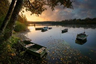 Exklusives Ferienhaus am See mit Hund, Sauna, Garten, 140qm - Krakow am See - 7