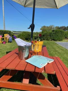 Knockaguilla House Bed & Breakfast - Doolin - 2
