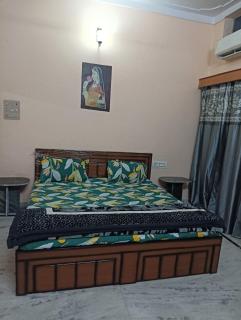 Vanita home stay - Udaipur - 8