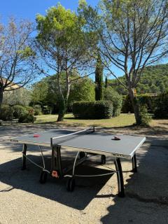 Gîte 6-8 pers dans Mas provençal avec piscine et jardin - Villedieu - 6