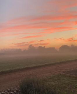 B&B Droomzoet - Herentals - 8