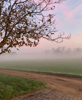 B&B Droomzoet - Herentals - 9