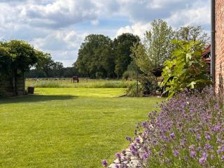 B&B Droomzoet - Herentals - 0