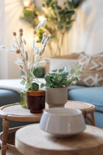 Duplex des Halles 3 chambres - Pau - 2