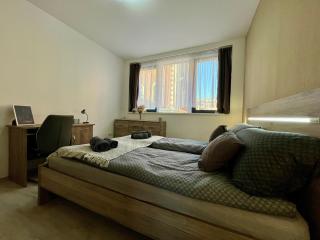 City Centre Simonffy Apartment - Debrecen - 1