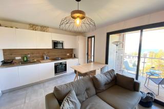 06CI Beautiful T2 apartment with terrace - Valberg - Valberg - 3