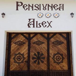 Pensiunea Alex - Marga - 0