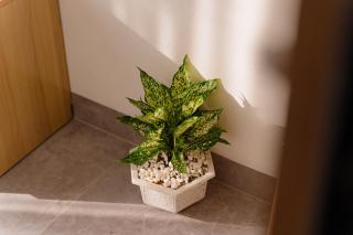 Apollo Hotel - Dồng Văn - 6