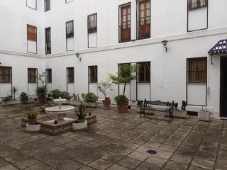 Apartamento Puerta Real - Sevilla - 8