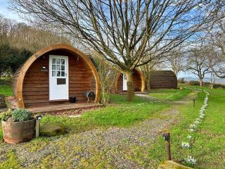 Silverbirch Glamping Pod - Fownhope - 0