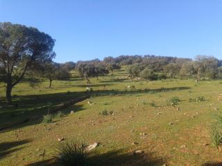 Sierrezuela baja - Villafranca de Córdoba - 0