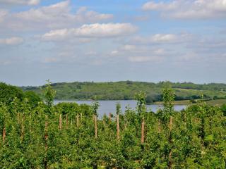 Stable Cottage - Ticehurst - 1