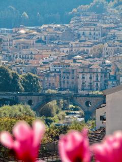Calatrava Bridge - Cosenza - 4