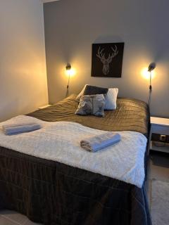 Arctic Star Levi - Lumitähti - 9