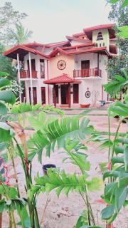Bali Golden - Galle - 0