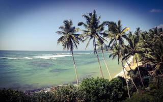 Mirissa Seastar - 1