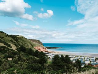 Pease Bay Essential Clover Caravan 1 - 1